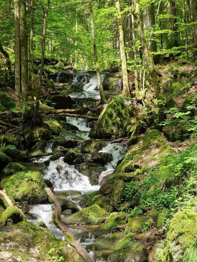 Ferien Vom Ich, Bayerischer Wald, Hotel & Restaurant Neukirchen  Buitenkant foto