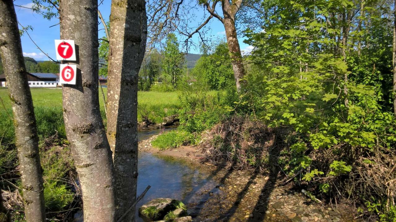 Ferien Vom Ich, Bayerischer Wald, Hotel & Restaurant Neukirchen  Buitenkant foto