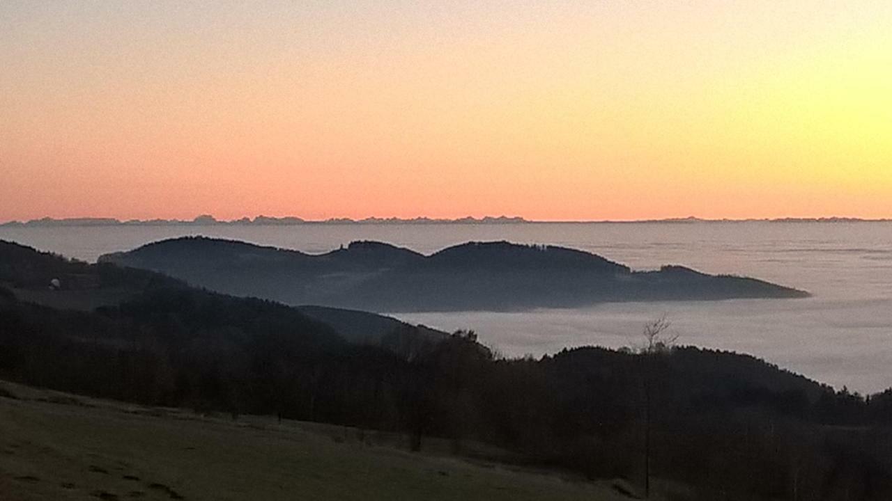 Ferien Vom Ich, Bayerischer Wald, Hotel & Restaurant Neukirchen  Buitenkant foto