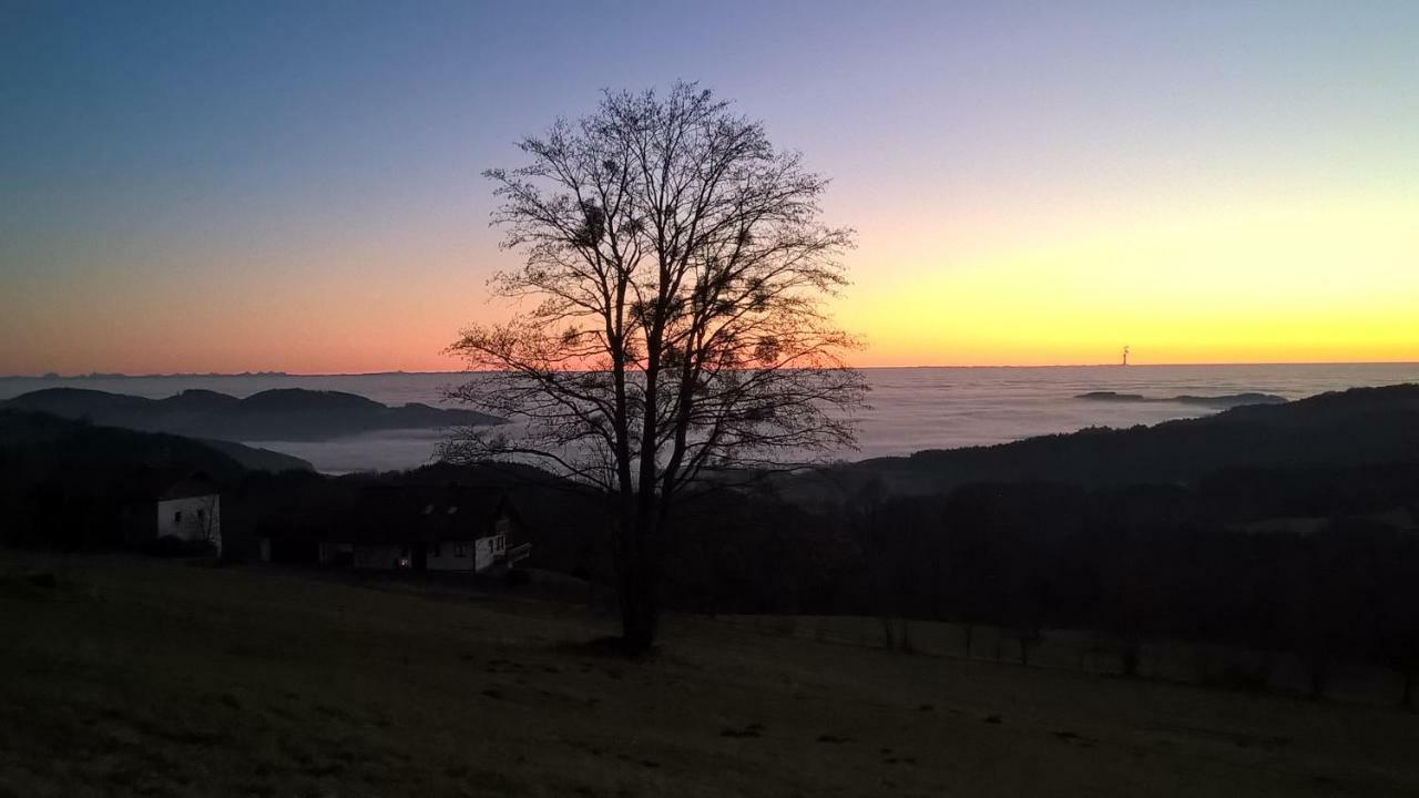 Ferien Vom Ich, Bayerischer Wald, Hotel & Restaurant Neukirchen  Buitenkant foto