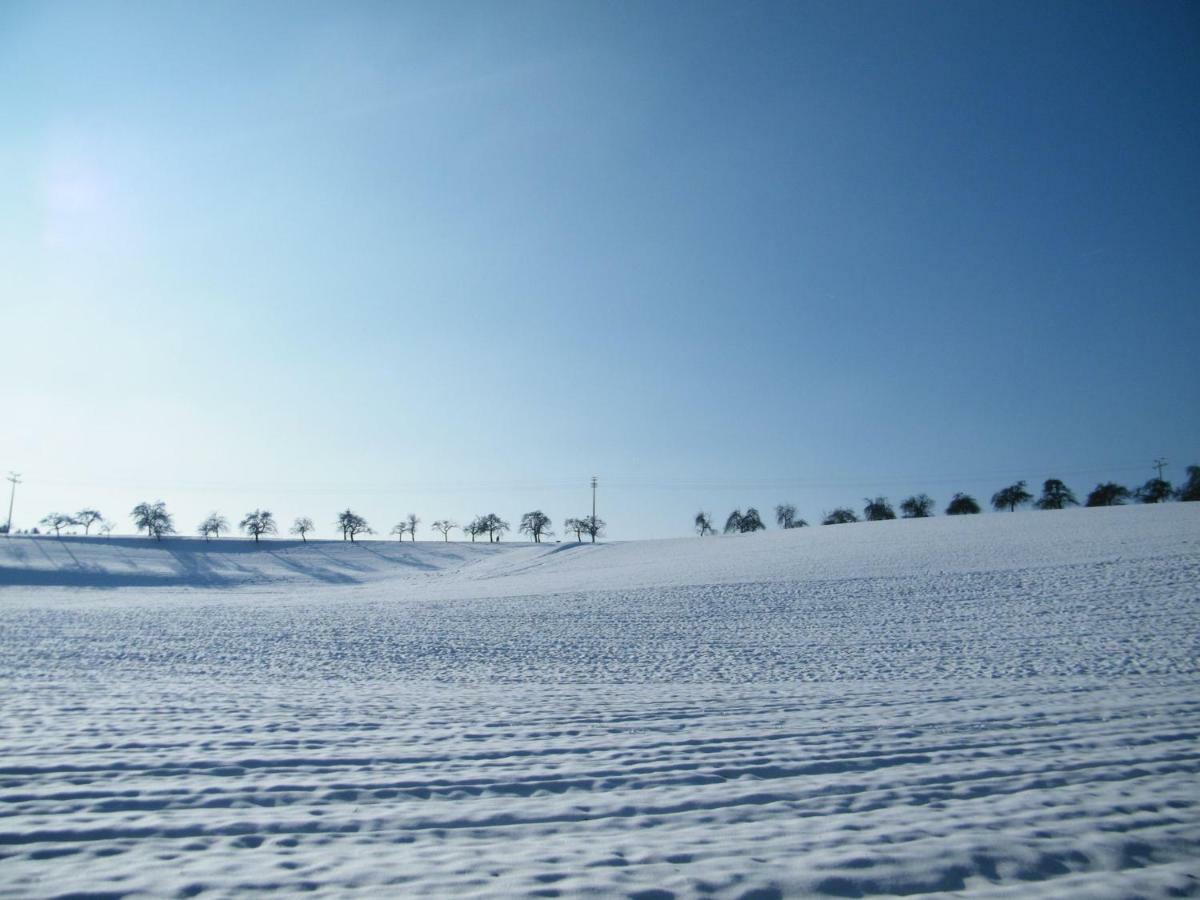 Ferien Vom Ich, Bayerischer Wald, Hotel & Restaurant Neukirchen  Buitenkant foto