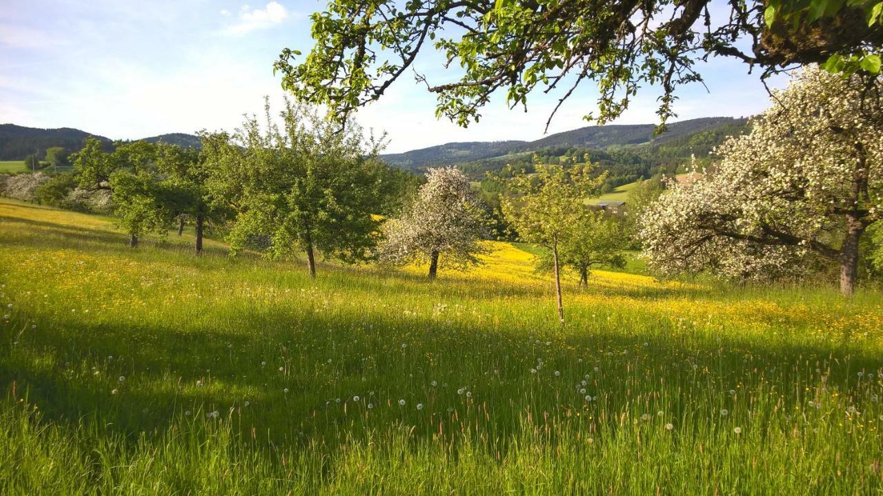 Ferien Vom Ich, Bayerischer Wald, Hotel & Restaurant Neukirchen  Buitenkant foto