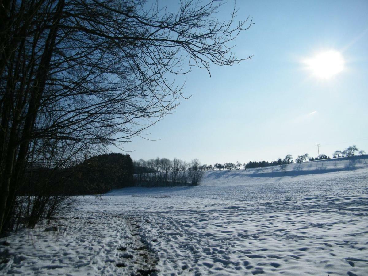 Ferien Vom Ich, Bayerischer Wald, Hotel & Restaurant Neukirchen  Buitenkant foto