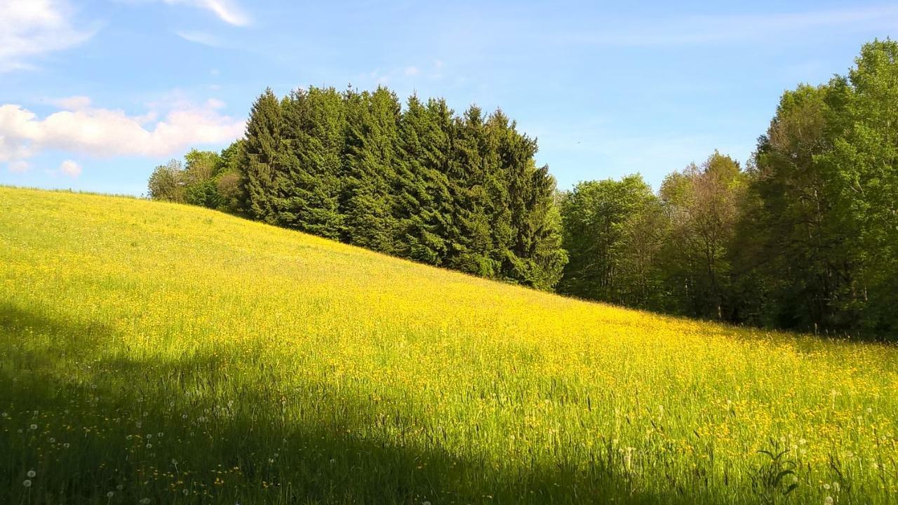 Ferien Vom Ich, Bayerischer Wald, Hotel & Restaurant Neukirchen  Buitenkant foto